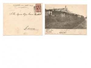 cervo