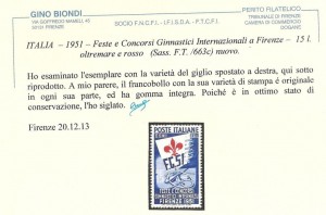 feste e concorsi ginnasti internazionali