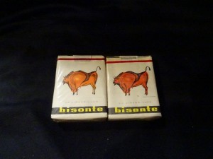 bisonte