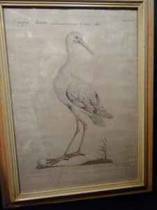 DSC04140
