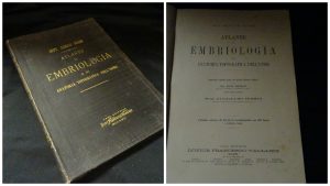 embriologia